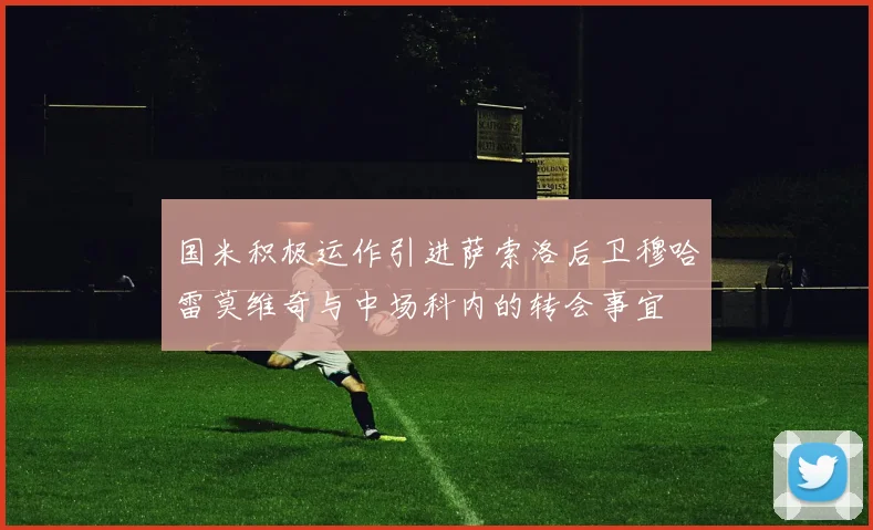 国米积极运作引进萨索洛后卫穆哈雷莫维奇与中场科内的转会事宜