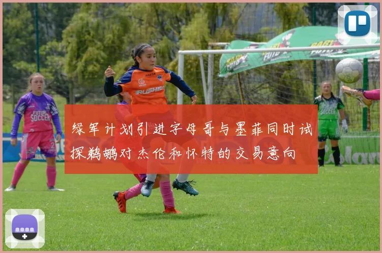 绿军计划引进字母哥与墨菲同时试探鹈鹕对杰伦和怀特的交易意向