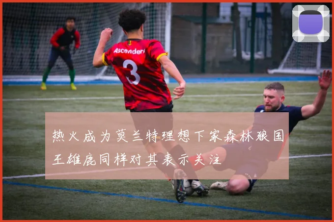 热火成为莫兰特理想下家森林狼国王雄鹿同样对其表示关注
